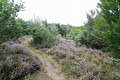 Très beau chemin
