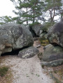 Un grand tour en Forêt de Fontainebleau