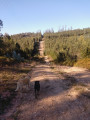 Tr&egrave;s large chemin montant