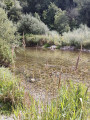 Très natures gorges de l'Allondon