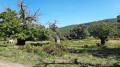 Les Menhirs du Plateau Lambert depuis la Croix d'Anselme