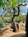 Musée de la Vigne de Vieille-Brioude Musée de la Vigne de Vieille-Brioude