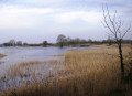 Tring reservoir