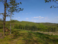 Trödelsteinpfad - Rothaarsteig-Spur Trödelsteinpfad - Rothaarsteig-Spur