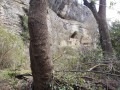 Troglodyte