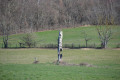 Tronc d'arbre