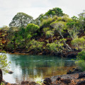 Waterhole