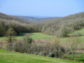 Trouée dans la forêt