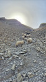 Troupeau de mouton et brebis