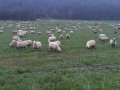 Boucle par les bois de Torpes et la crête d'Osselle