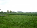 Tumulus de Beauregard