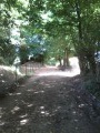 tunnel de verdure