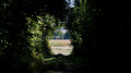 Tunnel de verdure Tunnel de verdure