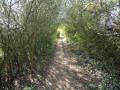 Tunnel naturel.