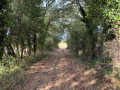 Boucle des Eyères Boucle des Eyères