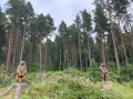 Two carved bears