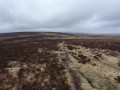 Two Moors way at Hookney Tor