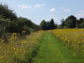 The Alde Valley - Leiston to Wickham Market