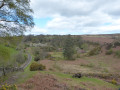 Around Goathland