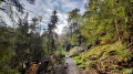 Uferweg im Waldnaabtal