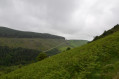 Plantation d'Uldale et porte Nannycatch Uldale Plantation and Nannycatch gate