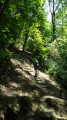 Ultime montée