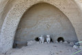 Un abri sous roche pour chiens.