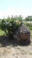 Un ancien puits communal
