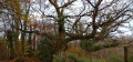 Quatre combes autour de Marennes Quatre combes autour de Marennes