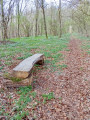 Un banc rudimentaire sur le parcours