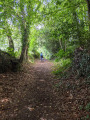 Un beau chemin creux comme on les aime.