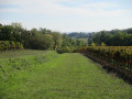 Un beau chemin