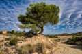 Un beau paysage