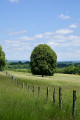 Boucle champêtre sur les hauteurs d'Argentat Boucle champêtre sur les hauteurs d'Argentat