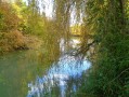 Promenade dans l'ancien lit du Rhin : du Pont-levis à la Ferme du Moulin