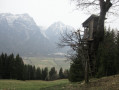 Un cabane de chasseur perchée