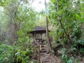 Un carbet au bord du chemin