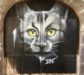 Un chat ... Un chat ...