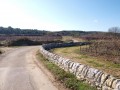Un chemin avec ses murs en pierre