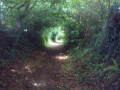 Les chemins creux de La Dorée