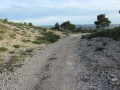 Un chemin dans une végétation clairsemée Un chemin dans une végétation clairsemée