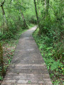 Un chemin de planche