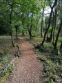 Un chemin qui se fond dans le paysage