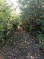 A path