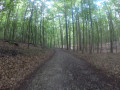 Forêt de Soignes de Tervuren à Boondael