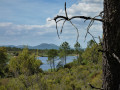 Plaine des Mayons - Lac des Escarcets Plaine des Mayons - Lac des Escarcets