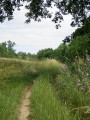 Un des bons chemin du parcours Un des bons chemin du parcours