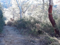 Un des chemins au retour