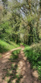 Un des chemins