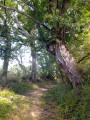 Chemin de la Brigandière